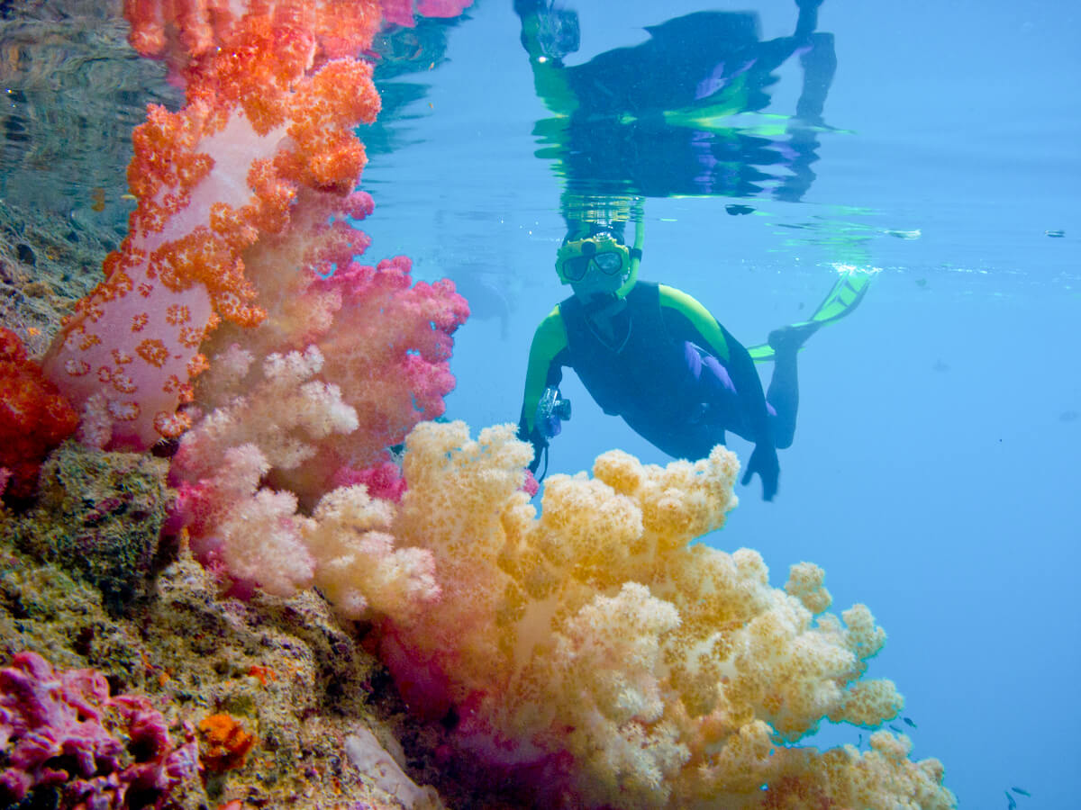 Palau Snorkeling Safari 2019 Sea for Yourself Snorkeling Safaris