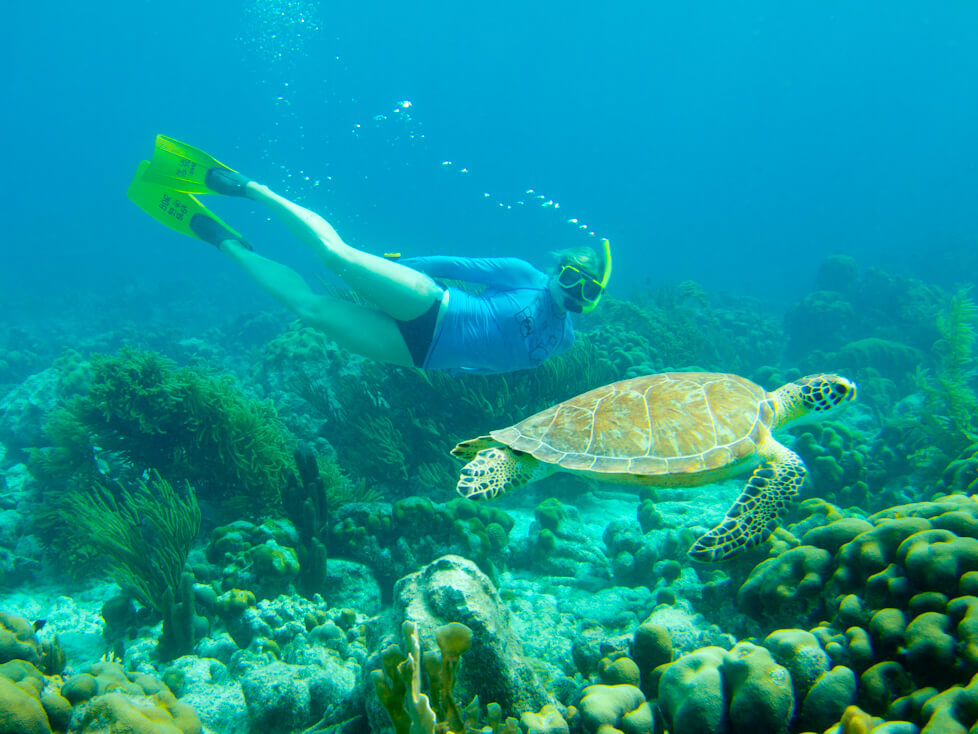 Exploring Bonaire Sea for Yourself Snorkeling Safaris