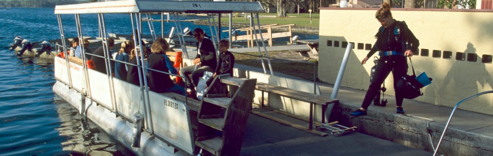 Pontoon Boat Manatees - Florida