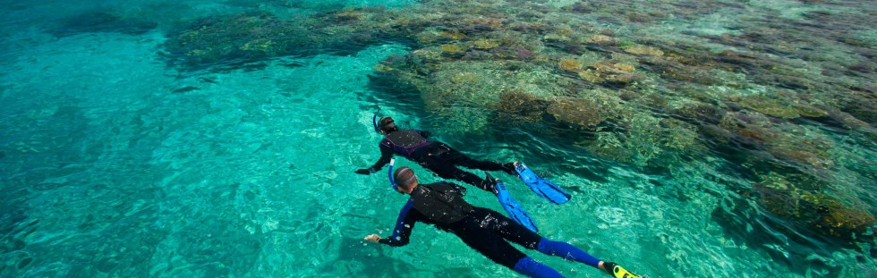 Snorkeling - Fiji