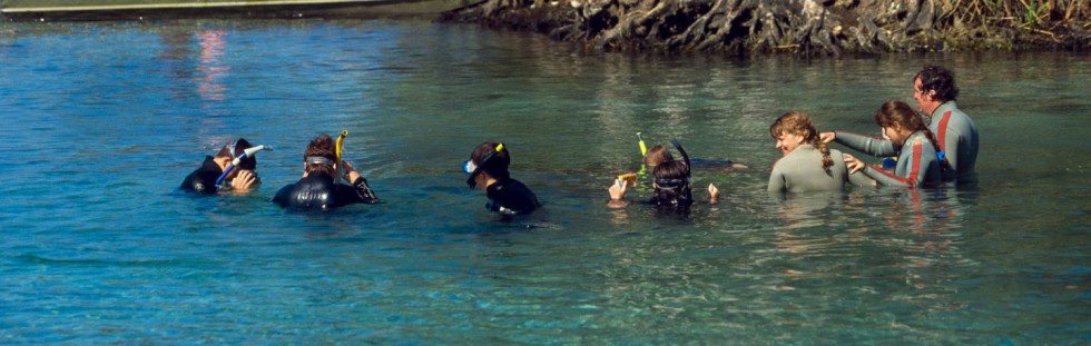 Shallow Water - Florida