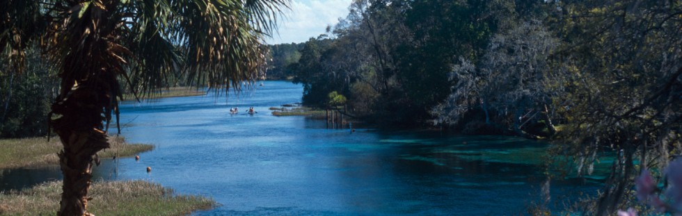 Rainbow River - Florida