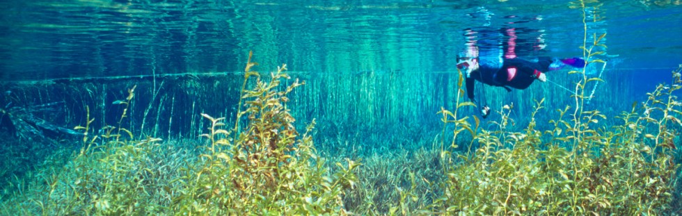 Snorkeling Rainbow River - Florida