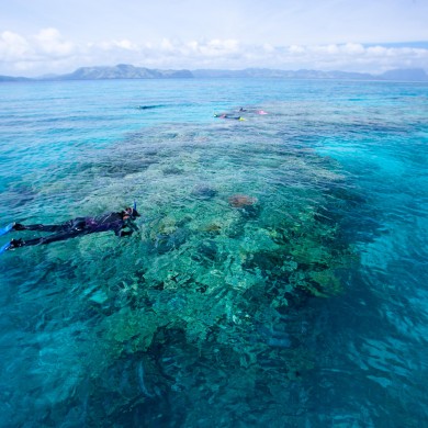Snorkeling Kadavu - Fiji