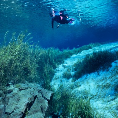 Snorkeling - Rainbow River - Florida