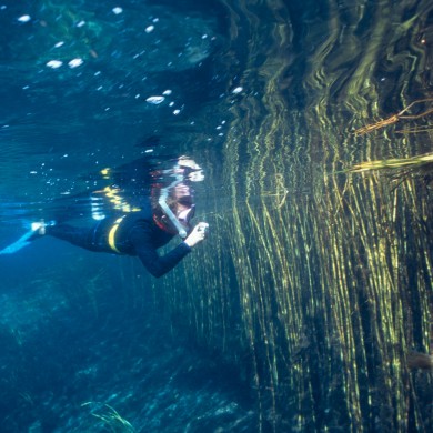 Snorkeling - Rainbow River - Florida