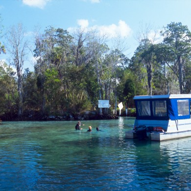 Calm Water - Rainbow River - Florida