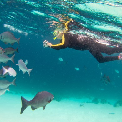 Underwater Photography - Bonaire