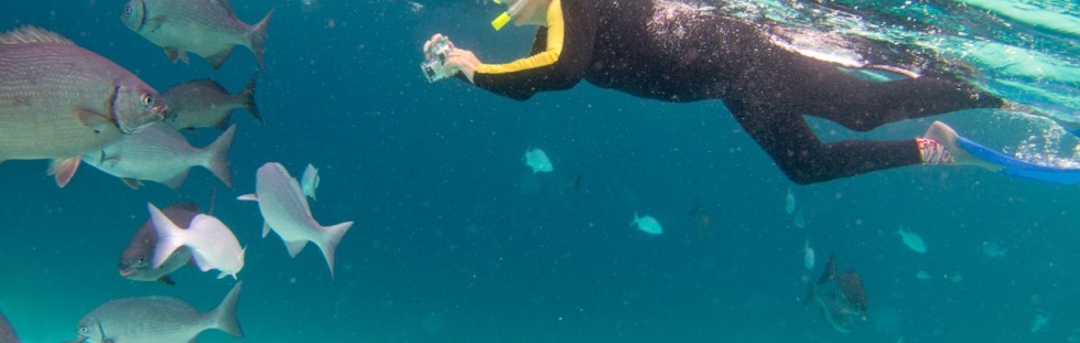 Underwater Photography - Bonaire