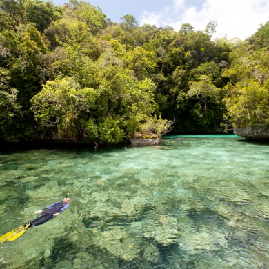 Snorkeling Rock Island - Palau
