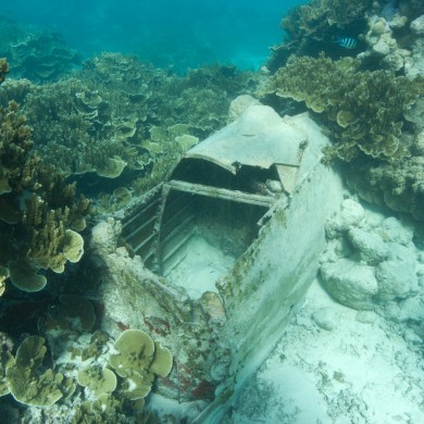 Snorkeling Ship Wreck WWII - Palau