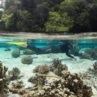 Snorkel Mandarin Fish Lake - Palau