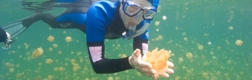 Snorkeling Jelly Fish Lake - Palau