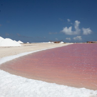 Saltworks - Bonaire