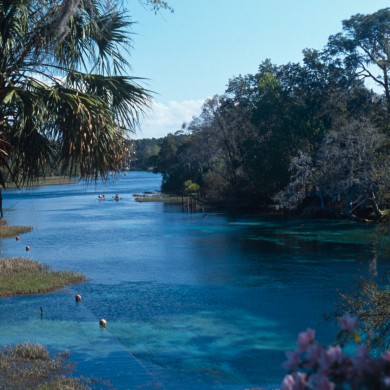 Rainbow River - Florida