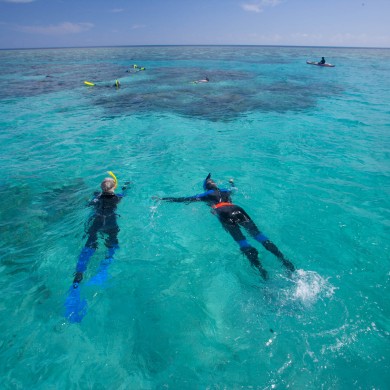 Snorkeling Shallow Reef - Fiji