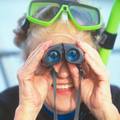 Curious Snorkeler - Florida