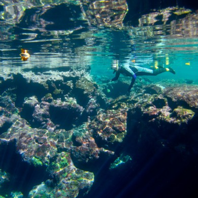 Snorkel Shallow Reef - Marine Lake - Philippines